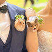 愛犬・愛猫と一緒に結婚式♪ 羊毛フェルト ウェディング ブートニア ブローチ